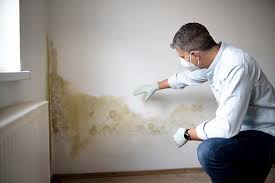 Why You Should Choose Our Mold Remediation Services in Jacksonville, OR